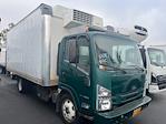 Used 2019 Isuzu NQR Refrigerated Body for sale #210111 - photo 1
