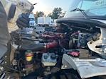 Used 2019 Freightliner M2 106 Conventional Cab Morgan Truck Body Box Truck with Liftgate for sale #213739 - photo 24
