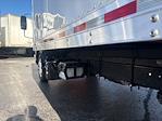 Used 2023 Isuzu NPR-XD Regular Cab Morgan Truck Body Box Truck for sale #215318 - photo 5