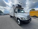 Used 2019 Hino 338 Refrigerated Body with Liftgate for sale #215756 - photo 1