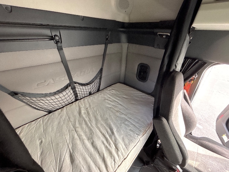 Used 2019 Freightliner Cascadia - photo 19