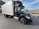 Used 2019 Hino 268A Refrigerated Body for sale #216709 - photo 1