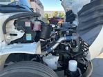 Used 2019 Freightliner M2 106 Conventional Cab Morgan Truck Body Box Truck with Liftgate for sale #217134 - photo 23