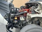 Used 2019 Freightliner M2 106 Conventional Cab Morgan Truck Body Box Truck for sale #219256 - photo 24