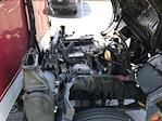 Used 2019 Hino 195 Morgan Truck Body Refrigerated Body V520-20 for sale #219258 - photo 23