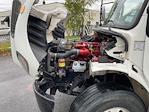 Used 2019 Freightliner M2 106 Conventional Cab Morgan Truck Body Box Truck with Liftgate for sale #224284 - photo 24