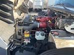 Used 2019 Freightliner M2 106 Conventional Cab Morgan Truck Body Flatbed Truck for sale #224957 - photo 24