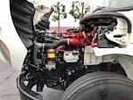 Used 2019 Freightliner M2 106 Conventional Cab Morgan Truck Body Flatbed Truck for sale #227213 - photo 24