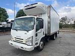 Used 2019 Isuzu NQR Refrigerated Body for sale #231258 - photo 3