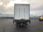 Used 2019 Freightliner M2 106 Conventional Cab Morgan Truck Body Box Truck with Liftgate for sale #234297 - photo 7