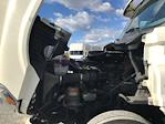 Used 2019 Freightliner Cascadia Detroit DD13 Semi Truck for sale #235369 - photo 16