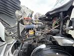 Used 2019 Freightliner Cascadia Detroit DD13 Semi Truck for sale #235432 - photo 16