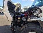 Used 2019 Freightliner M2 106 Conventional Cab Morgan Truck Body Box Truck with Liftgate for sale #238340 - photo 24