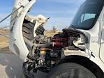 Used 2019 Freightliner M2 106 Conventional Cab Box Truck for sale #241394 - photo 23