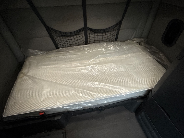 Used 2019 Freightliner Cascadia - photo 19