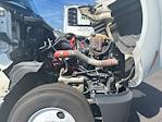 Used 2019 International LT Cummins X15 Semi Truck for sale #242919 - photo 19