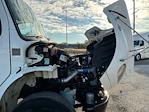 Used 2019 Freightliner M2 106 Conventional Cab Morgan Truck Body Flatbed Truck for sale #244906 - photo 18