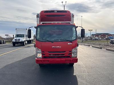 Used 2019 Isuzu NQR Refrigerated Body for sale #245500 - photo 2