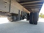 Used 2019 Freightliner M2 106 Conventional Cab Morgan Truck Body Box Truck for sale #248984 - photo 5