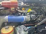 Used 2021 Freightliner Cascadia Detroit DD13 Semi Truck for sale #254436 - photo 15