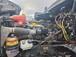Used 2019 Freightliner Cascadia Detroit DD13 Semi Truck for sale #255370 - photo 16