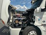 Used 2019 Freightliner Cascadia Detroit DD15AT Semi Truck with Sleeper Cab for sale #256552 - photo 21