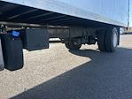 Used 2019 Freightliner M2 106 Refrigerated Body with Liftgate for sale #257031 - photo 5