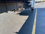 Used 2019 Freightliner M2 106 Conventional Cab Morgan Truck Body Box Truck for sale #257376 - photo 14