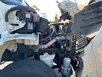 Used 2019 Freightliner M2 106 Conventional Cab Morgan Truck Body Box Truck for sale #257376 - photo 23