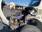 Used 2019 Freightliner M2 106 Conventional Cab Morgan Truck Body Box Truck for sale #257376 - photo 24
