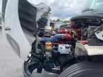 Used 2019 Freightliner M2 106 Morgan Truck Body Refrigerated Body T1080S30 for sale #260366 - photo 24