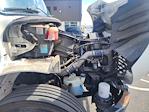 Used 2019 Freightliner M2 106 Conventional Cab Morgan Truck Body Box Truck for sale #269258 - photo 23