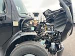 Used 2020 Freightliner M2 106 Conventional Cab Morgan Truck Body Box Truck for sale #282815 - photo 22