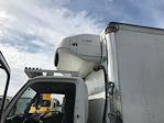 Used 2019 Hino 195 Refrigerated Body for sale #284846 - photo 25