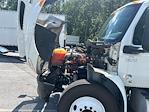 Used 2020 International MV Morgan Truck Body Box Truck for sale #286252 - photo 24