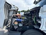 Used 2020 Freightliner Cascadia Detroit DD13 Semi Truck for sale #289819 - photo 15