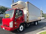 Used 2019 Isuzu NQR Refrigerated Body with Liftgate for sale #292223 - photo 3
