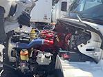 Used 2019 Freightliner M2 106 Morgan Truck Body Refrigerated Body SUPRA960 with Liftgate for sale #318381 - photo 24