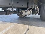 Used 2019 Freightliner M2 106 Conventional Cab Morgan Truck Body Box Truck with Liftgate for sale #319248 - photo 5