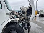 Used 2019 Freightliner M2 106 Conventional Cab Morgan Truck Body Flatbed Truck for sale #319449 - photo 23