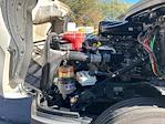 Used 2019 Freightliner Cascadia Detroit DD13 Semi Truck for sale #321227 - photo 16