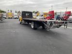 Used 2019 Hino 268A Single Cab Morgan Truck Body Flatbed Truck for sale #322456 - photo 6
