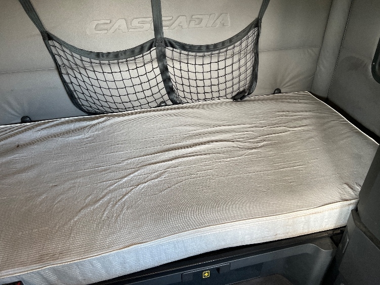 Used 2019 Freightliner Cascadia - photo 19