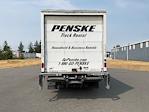 Used 2019 Hino 155 Single Cab Box Truck with Liftgate for sale #327687 - photo 7