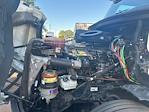 Used 2019 Freightliner Cascadia Detroit DD13 Semi Truck for sale #329116 - photo 16
