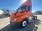 Used 2019 Freightliner Cascadia Detroit DD13 Semi Truck for sale #331215 - photo 3