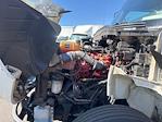 Used 2020 International MV Morgan Truck Body Box Truck for sale #332986 - photo 23