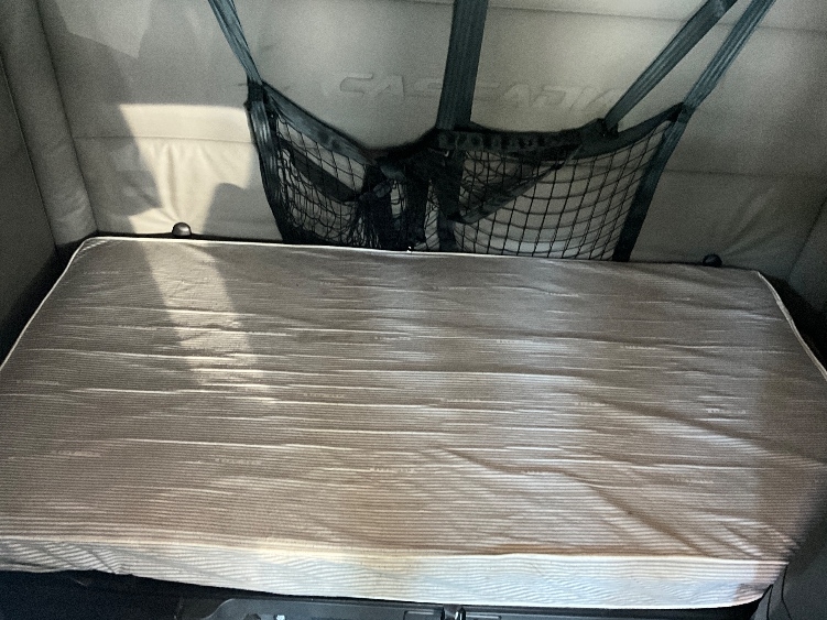 Used 2021 Freightliner Cascadia - photo 19