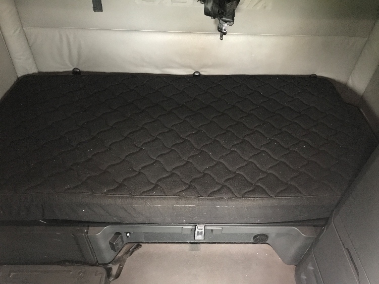 Used 2021 Freightliner Cascadia - photo 19