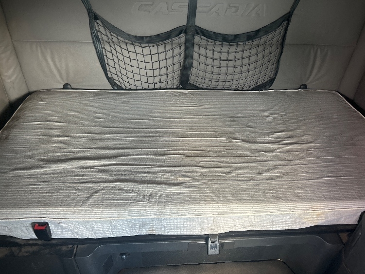 Used 2020 Freightliner Cascadia - photo 19